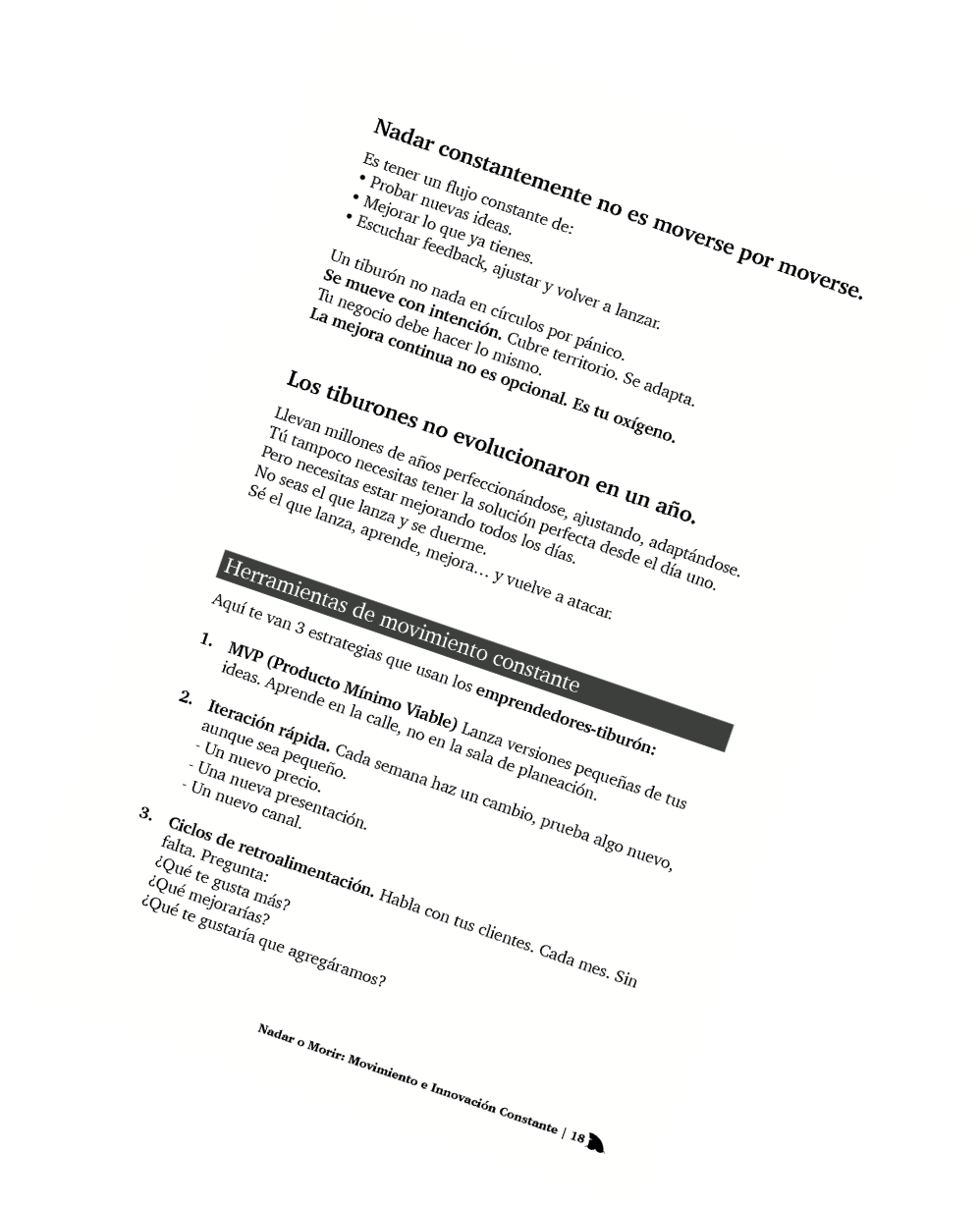 document page